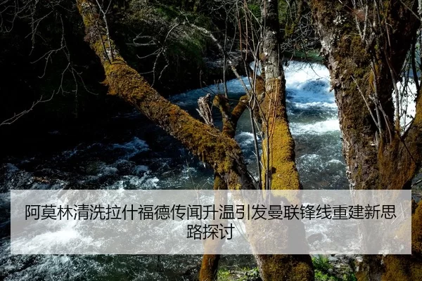 阿莫林清洗拉什福德传闻升温引发曼联锋线重建新思路探讨
