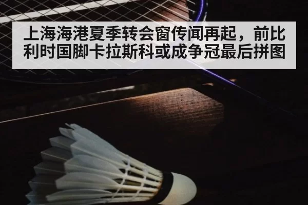 上海海港夏季转会窗传闻再起,前比利时国脚卡拉斯科或成争冠最后拼图