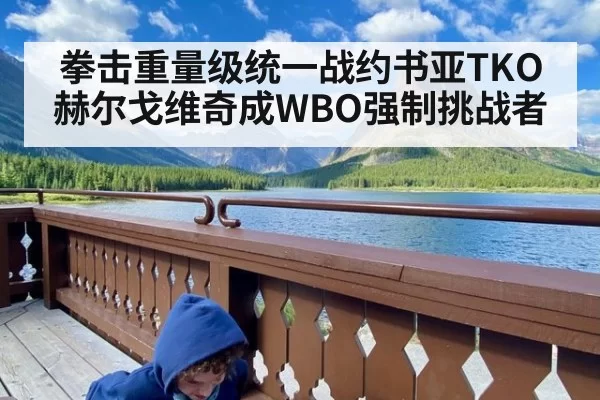 拳击重量级统一战约书亚TKO赫尔戈维奇成WBO强制挑战者